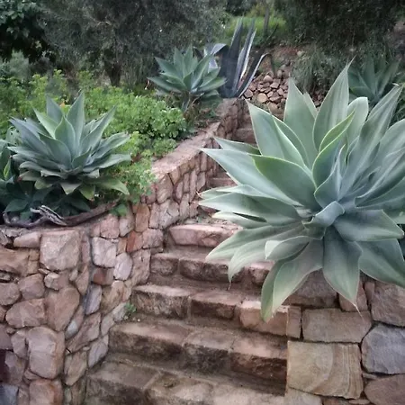 Casa Mare Celeste Vakantiehuis *